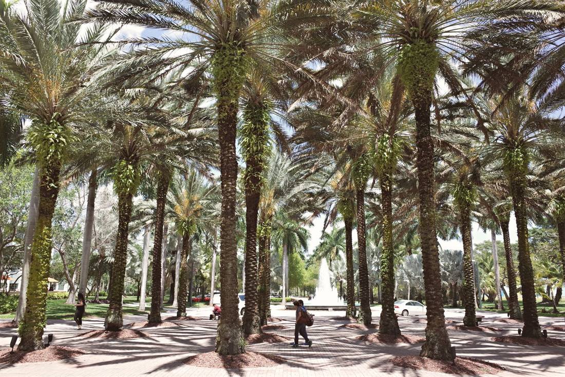Mediterranean-style streetscape in Coral Gables, Miami
